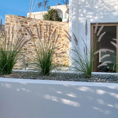 Clementina Paros * 나오우사