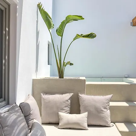 Clementina Paros 나오우사